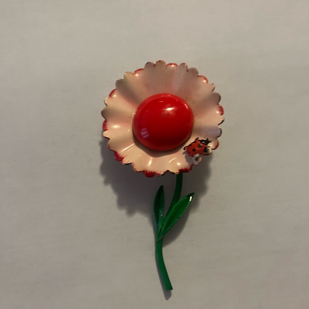 Vintage Enamel Painted Broach